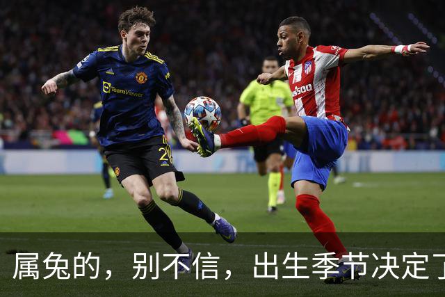 属兔的，别不信，出生季节决定了你是“伺候人”还是“被人伺候”